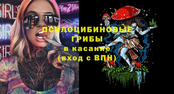 меф Богородицк