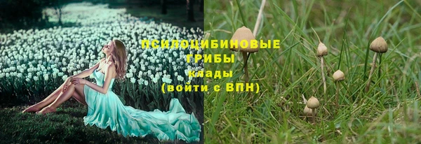 сатива Бронницы