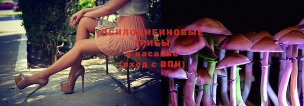 стаф Бугульма