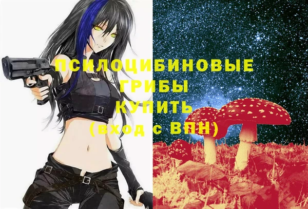 меф Богородицк