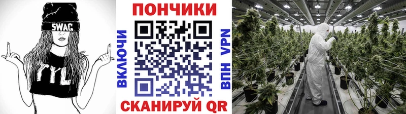 хочу   Минеральные Воды  Канабис индика 